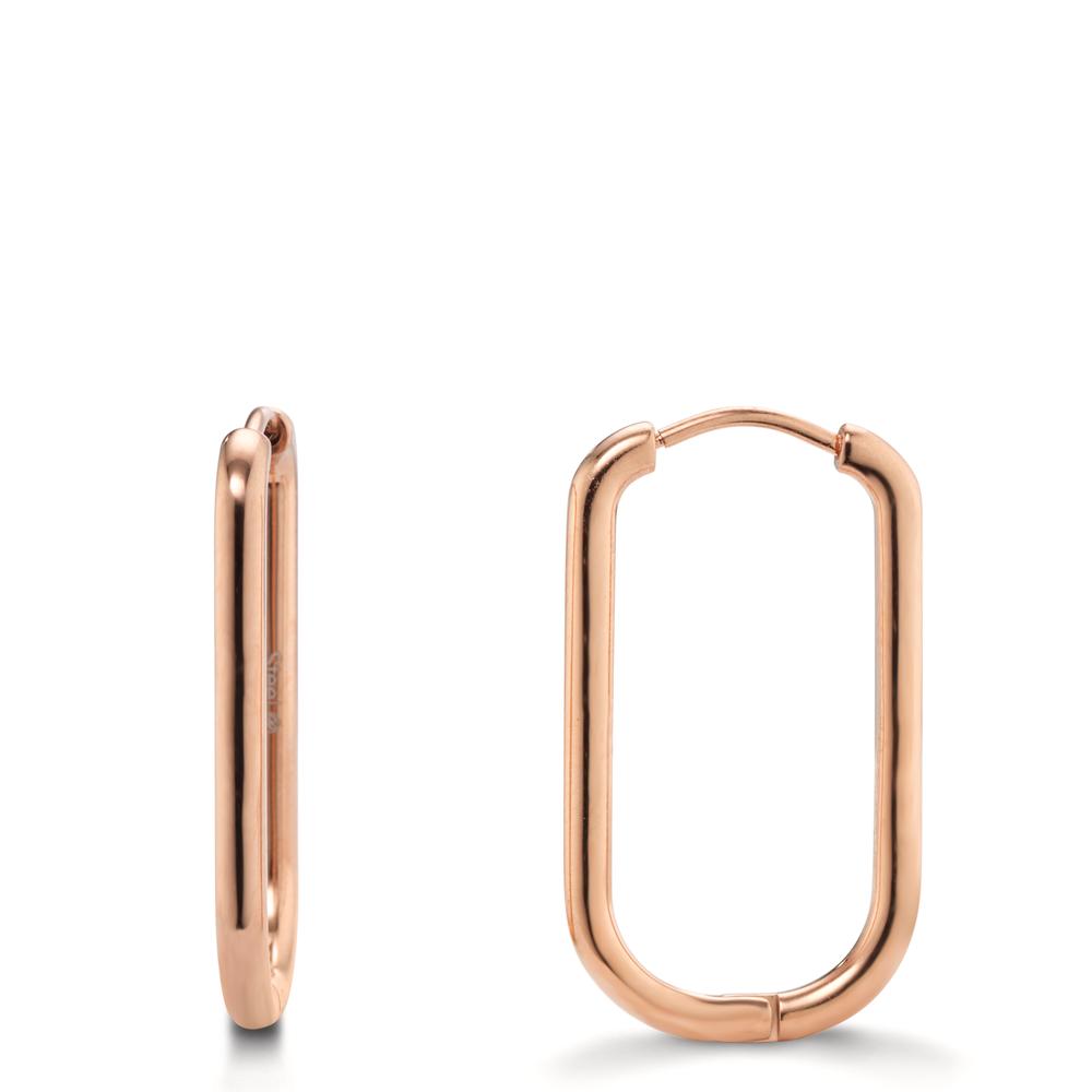 Clous d'oreilles Acier inoxydable-609494