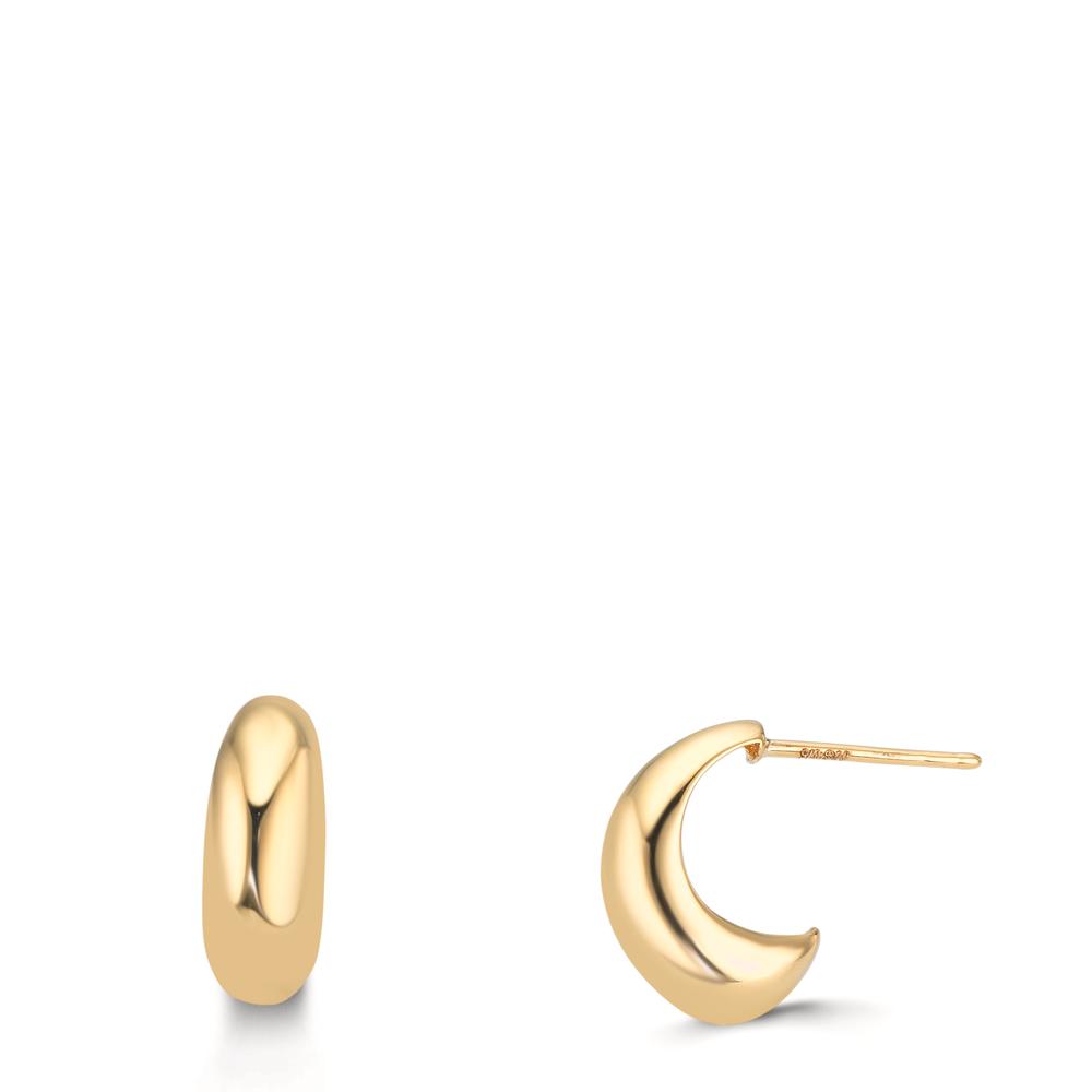 Pendant d'oreilles Or jaune 9K-610015